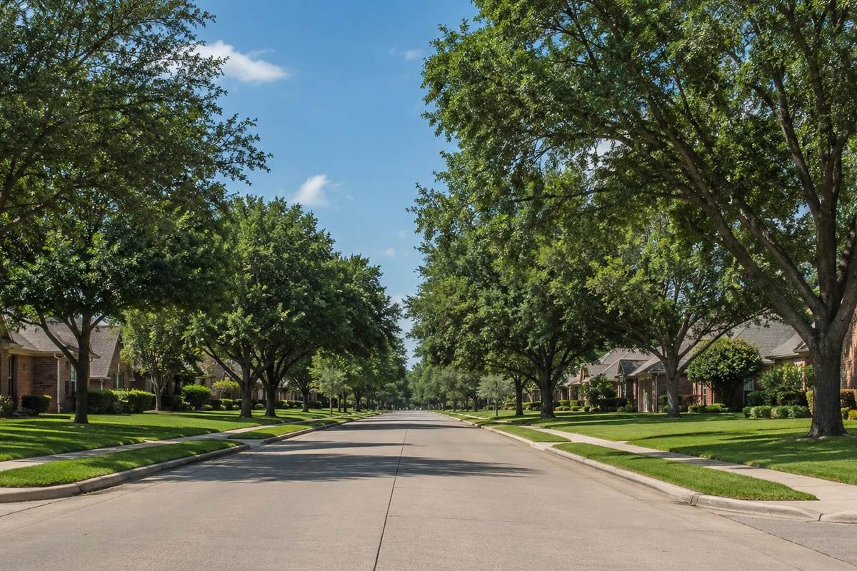 Tree-lined residential street in Richardson, Texas
